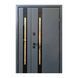 Вхідні двері Straj PROOF Slim S Антрацит STPRSLIM2 фото 1